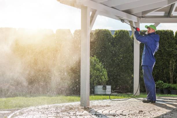 Best Graffiti Removal  in Belcourt, ND